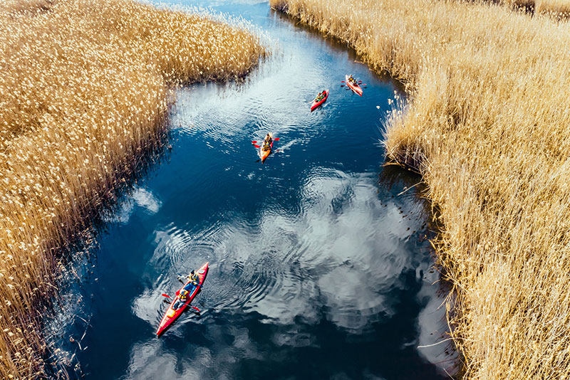 Jednodniowe spływy kajakowe