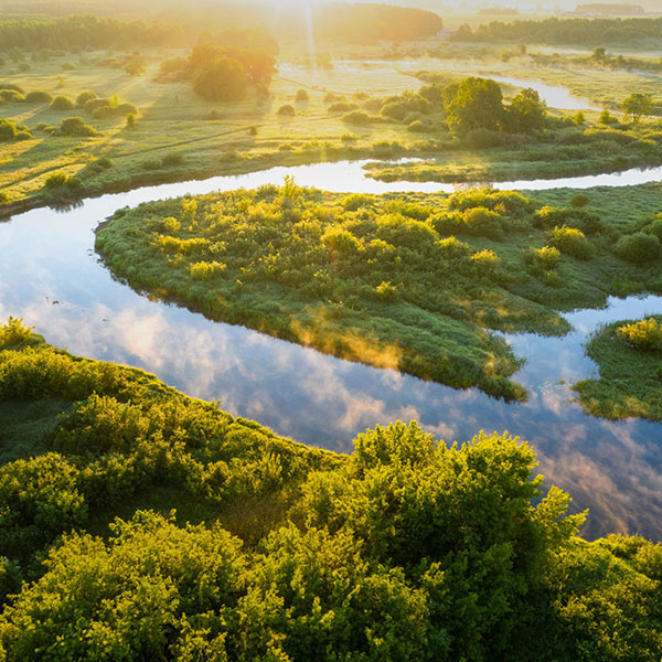 Spływy kajakowe Krutynią